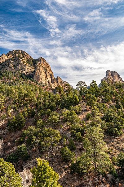 Jaynes Gallery 아티스트의 USA-New Mexico-Sandia Mountains-Mountain and forest landscape작품입니다.